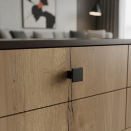 Úchytka knopka AXON / Černá...