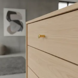 Úchytka knopka PAREA / Zlatá broušená