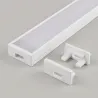 Bílá