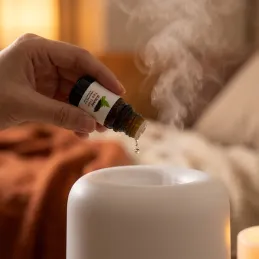 Sada 6 ks vonných olejů do aroma difuzérů / 10 ml